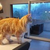 Visite à domicile