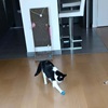 Visite à domicile